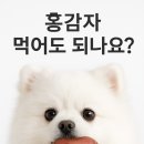홍 - 하남시 미사강변북로 32 | 홍