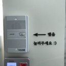W21. 까탈스러운 내가 드디어 고른 결혼반지! 소린주얼리 계약 후기