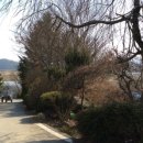 해암리 게바위 이미지