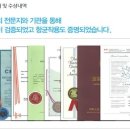 에코강산