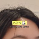 브로우래빗