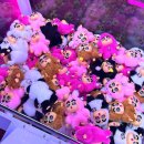 메가오락실 이미지