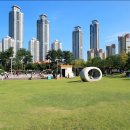 동탄센트럴파크 축구장 이미지