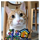 동물보육원 김포지부 이미지