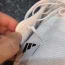 어쩌다영락 | 아디다스 복서 호그 4 실사용 6개월 후기 | 제니 복싱화보다 좋음