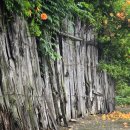 맘스터치 자인점 이미지