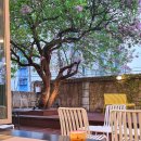 봉덕로 카페봉덕 앞 | [실시간] 아무도 모르는 제일 조용한 대구 라일락 카페 봉덕