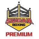 슈가복싱클럽 이미지