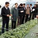 동향농장 이미지