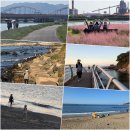 해파랑길 16코스 이미지