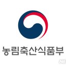 세종이용실