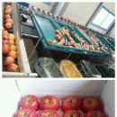 덕화농장 이미지