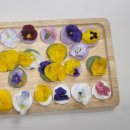 조물조물 생활도에 이미지