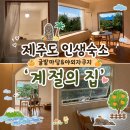 감성숙소 추천🍊 계절의집｜귤밭 독채에서 즐기는 야외 자쿠지💛｜제주 인생숙소 후기 (+예약방법...