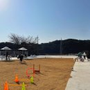 펫인더파크 이미지