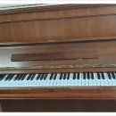 대림4차 이미지