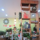 커피꽃향기 이미지