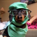 조은느낌 이미지