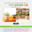 리틀가든 이미지