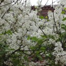 양지마을2길 이미지