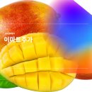 ㈜이마트 창동점 이미지