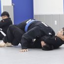 유성태권도스쿨 네이버블로그