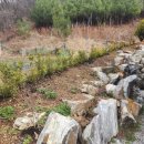 대지농장 이미지