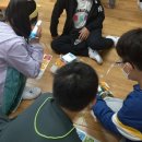 언플러그드 코딩 이미지