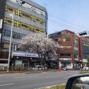 파리바게뜨 은천길입구점 이미지