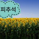 #8월19일 한우리교회소식 (예배 기도 암송 선교 환영 모임 헌신) 이미지