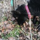 소가산농장 이미지