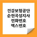 곡성-114 티스토리