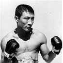 매드복싱 이미지