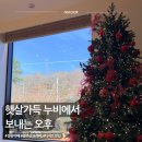 카페누비 | 장성 카페 누비 후기｜산책길 끝에서 쉬다