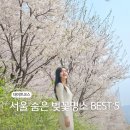 4월 꽃축제 갈만한곳 서울 벚꽃축제 용산공원, 올림픽공원, 성내천