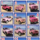 현지목장 | 여행]ep.2 나트랑 판랑사막투어 | 양떼목장 단독투어 현지업체 추천 | 호아드라이버 후기 (가격,예약방법)