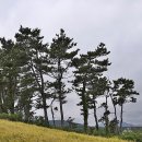 상창리-3 이미지
