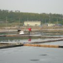 최순녀농장 이미지