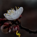 산성대로 이미지