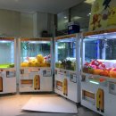 인형뽑기 이미지