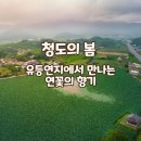 유등연지 둘레길 이미지