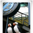 퍼핀카페 이미지