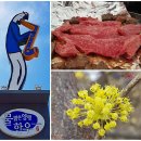 양평한우 - 양평군 중앙로 383 | 양평한우