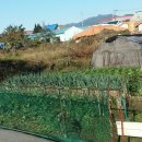 (뉴)대명부동산공인중개사사무소 이미지