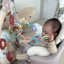 세계로체육관 | 리틀베이비 하베브릭스 아기체육관 대여 및 사용 후기 | 사용시기·장단점·청결 만족도