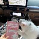 만식이네 | 고양이 예방접종 만식이 중성화수술 후기