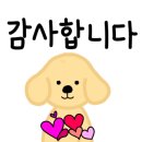 압록유원지수상레저 이미지