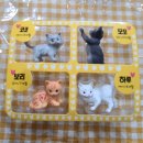 미니스토어 이미지