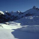 까치랜드 이미지