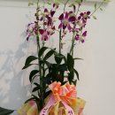 청도소싸움테마파크 이미지